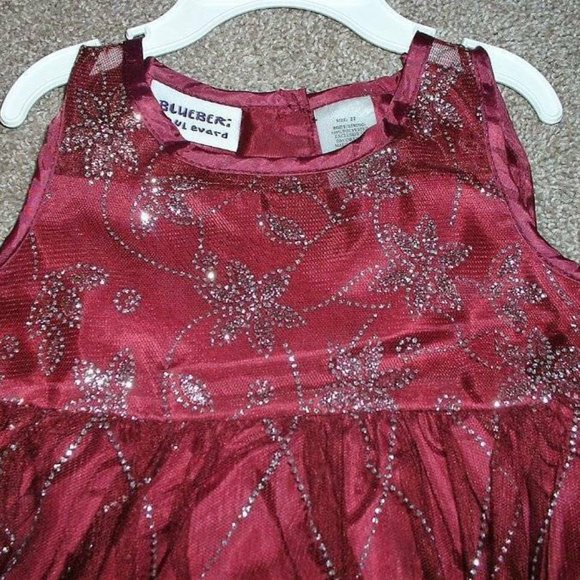 Blueberi Boulevard Toddler Girls Sparkly Flower Holiday Formal Dress Size 2T NWT - Picture 2 of 5